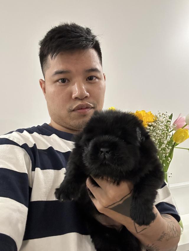 สุนัขเชาเชา สีดำ พ่อแม่นำเข้าจากต่างประเทศ