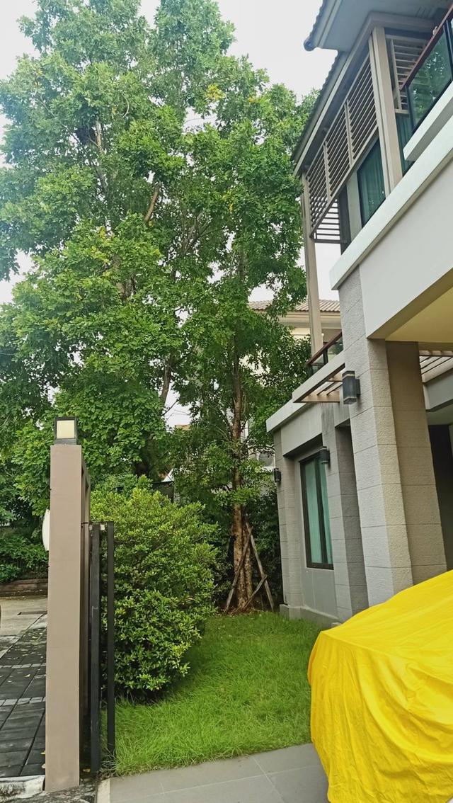 ขายบ้านเดี่ยว 3 ชั้น หมู่บ้านภัสสร"ติดถนนใหญ่อยู่หลังห้างแฟชั่นไอส์แลนด์ใกล้รถไฟฟ้า เดินทางสะดวก ทำเลดีมาก   18