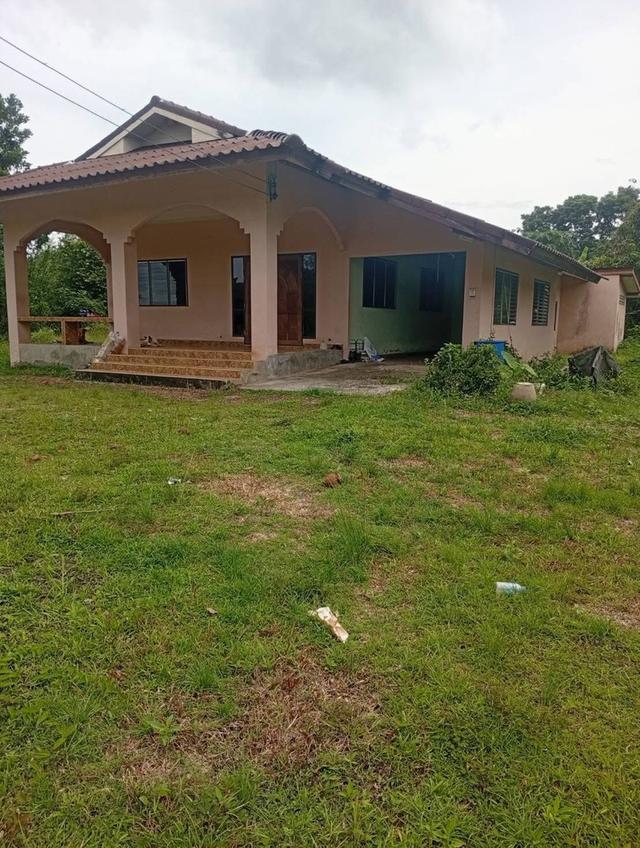 บ้าน พร้อมที่ดินสวย ทำเลดี วิวธรรมชาติ 2