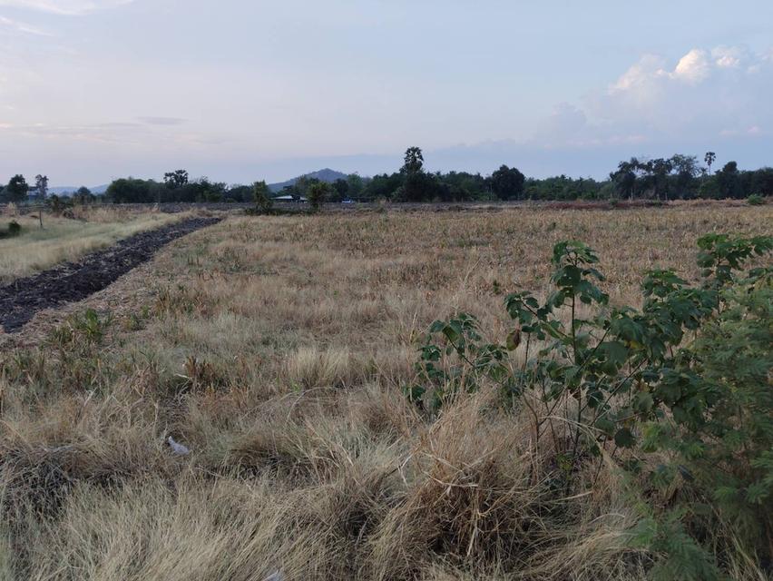 ที่ดินลพบุรี เนื้อที่ 6 ไร่ 90 ตารางวา 4