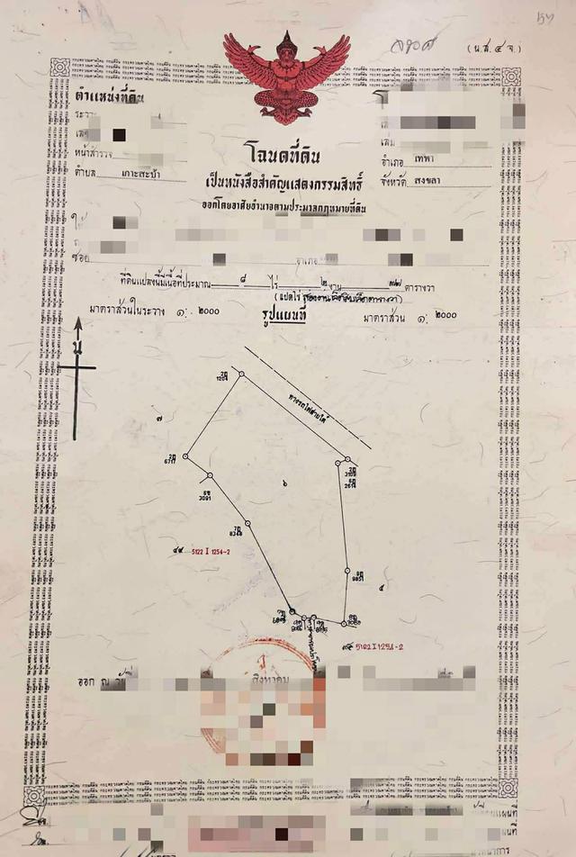 ขายที่ดินสวนปาล์มน้ำมัน 2