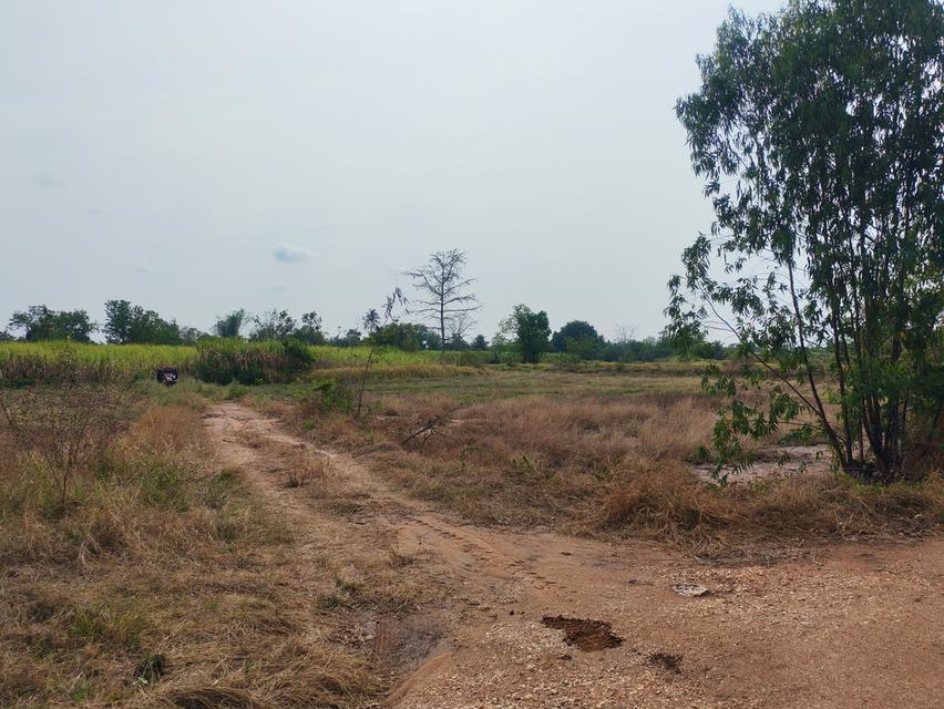 ขายด่วนที่ดิน ขายด่วน ที่ดินสวยแปลงใหญ่ 2แปลงติดกัน ไร่ละ 86,000 บาท จำนวน46-3-31 ไร่ และ 17-0-25 ไร่ เจ้าของคนเดียวกัน เป็นที่ไร่ผสมนา ติดทางสาธารณะท 14