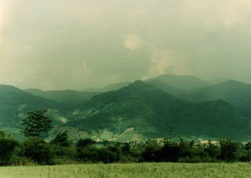 จ.เชียงราย ขายที่ดิน383ไร่พร้อมโครงการ 15