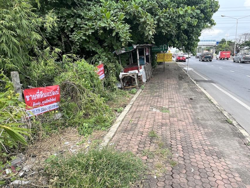 ขายไร่ละ 7,500,000 บาท ที่ดิน 50 ไร่ ติดถนนรังสิต นครนายก ไกล้โลตัสคลอง 7 ธัญบุรี 098 7755 808 7