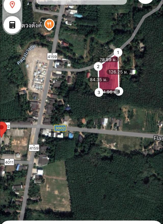 ไร่ยาง นส.4 จ. ครุฑแดง 4 ไร่กว่า พร้อมทำรายได้ทันที 9