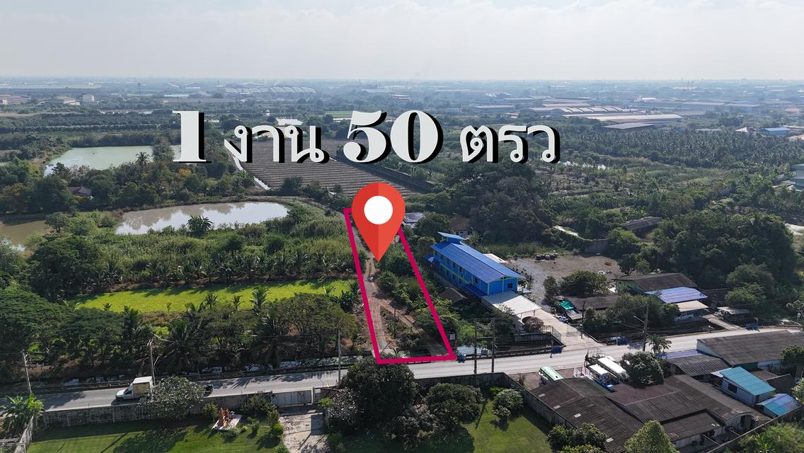 ที่ดินอสังหาริมทรัพย์ 2