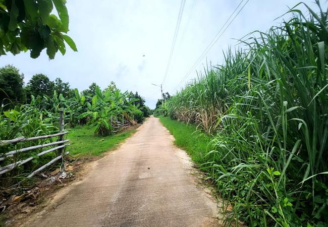 ขายที่ดิน บ่อทอง เทศบาลตำบลธาตุทอง 5 ถนนบ่อทอง ตำบลธาตุทอง อำเภอบ่อทอง ชลบุรี 2