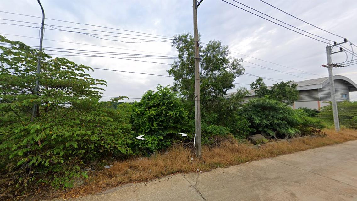 ขายที่ดิน ลำลูกกา คลอง 6 ปทุมธานี 2