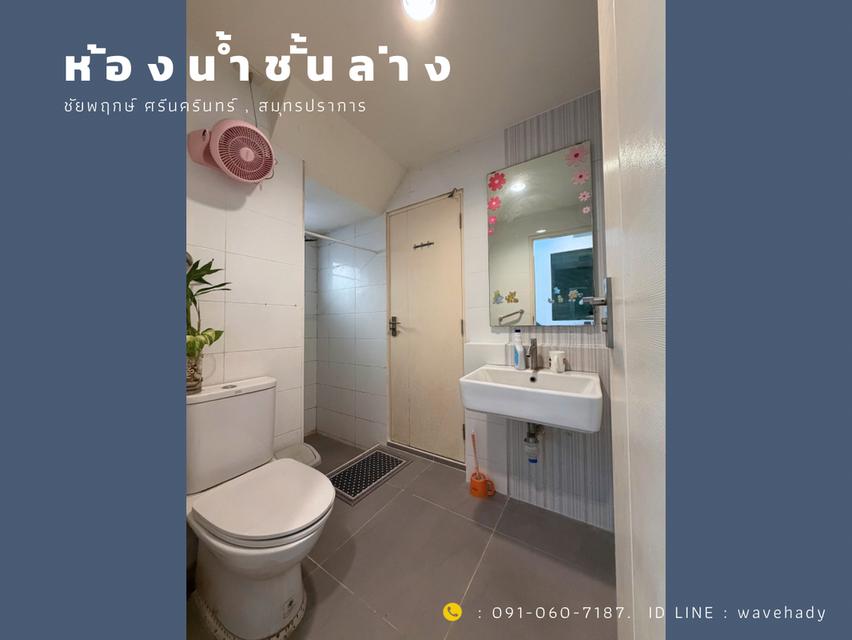 บ้านเดี่ยว ชัยพฤกษ์ ศรีนครินทร์ สมุทรปราการ 11