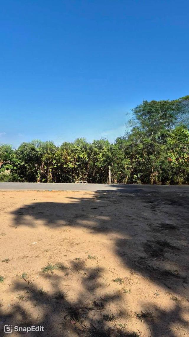 🎊ขายที่ดินภูเก็ต ติดทะเล 3 งาน 88.1 ตร.ว. เกาะสิเหร่ ต.รัษฎา อ.เมืองภูเก็ต จ.ภูเก็ต🎊 1