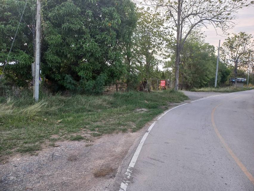 ที่ดินถมแน่นแล้ว 10 ไร่ ใกล้ชุมชนใหญ่ อ.เมืองลำพูน 19