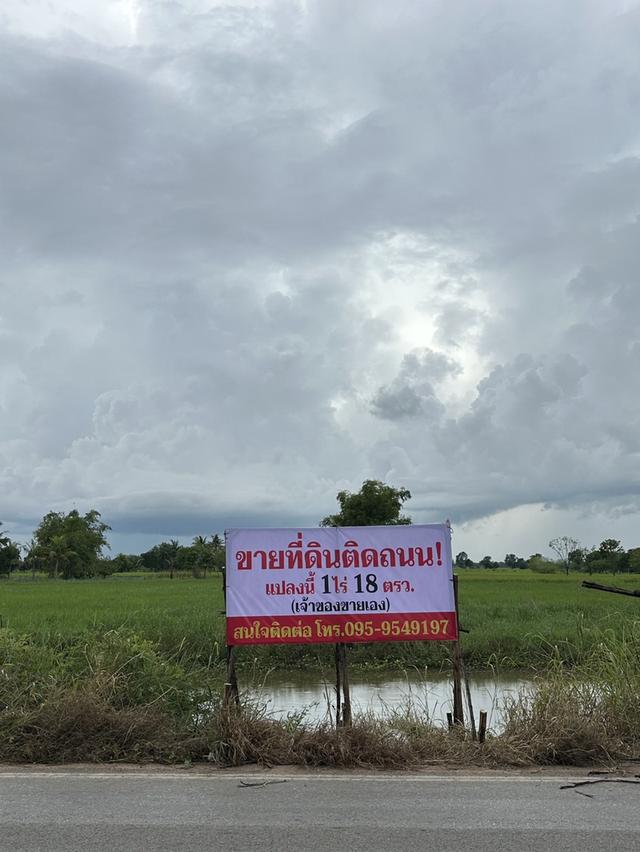 ด่วน!! ขายที่ดิน 1 ไร่ 18 ตร.วา จ.ชัยภูมิ อ.จัสตุรัส 2