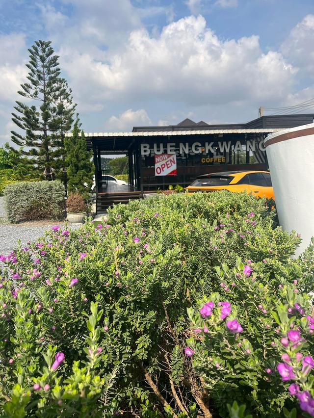 ปล่อยเช่าร้านกาแฟคาเฟ่ติดถนนสุวินทวงศ์ซอยบึงขวางมีที่จอดรถสะดวกสบาย พื้นที่1ไร่2งาน 4