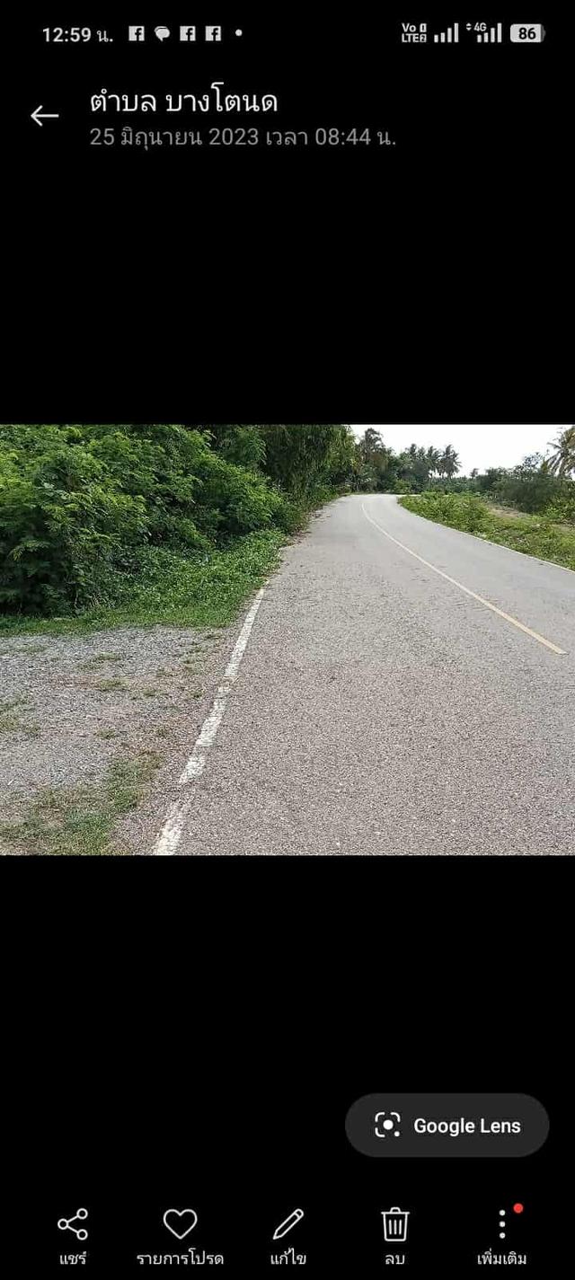 ที่ดิน 4