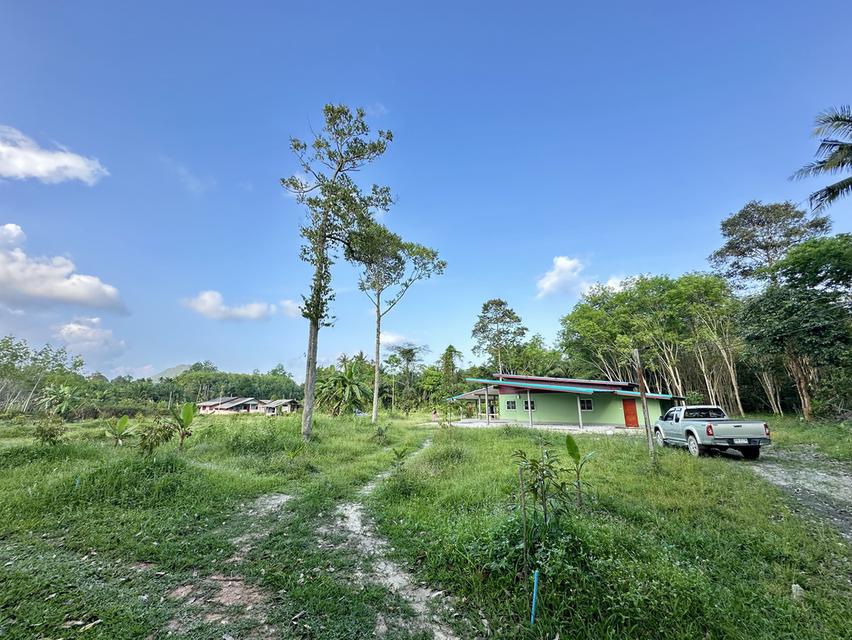 บ้านและสวน เนื้อที่ 1 ไร่ 3 งาน อยู่ใกล้วัดเจดีย์ไอไข่ ต.ฉลอง อ.สิชล จ.นครศรีธรรมราช 1