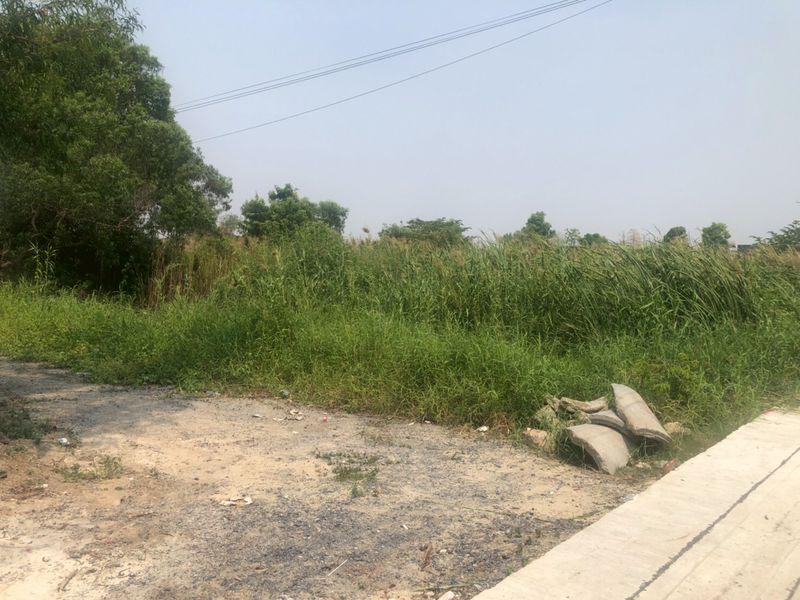 ขายถูกที่สุดในย่านนี้ ที่ดินถนนรามอินทราซอย5 เนื้อที่ 218 ตรว. ขายวาละ 25,000 บาท บางเขน กรุงเทพฯ 9