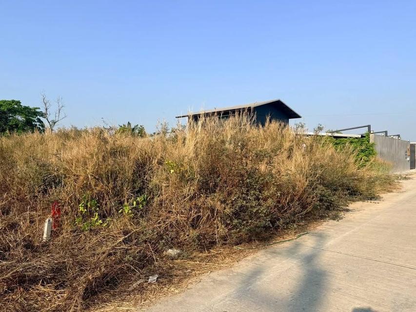 ขายด่วน!! ที่ดิน 200 ตารางวา) ( ถนน 340 ชอยปิ่นทองแองแลนด์ ไทรน้อย นนทบุรี 2