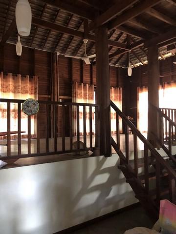 🏡 บ้านไม้ริมน้ำปิง พร้อมที่ดินผืนใหญ่ บรรยากาศธรรมชาติ 5
