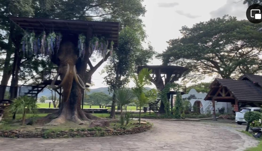 SALE HOTEL AND RESORT AT CHIANG MAI LARGE GARDEN 9