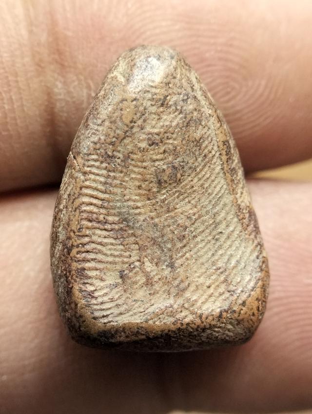 พระนางกลีบบัว กำแพงเพชร รูปย่อยที่ 2