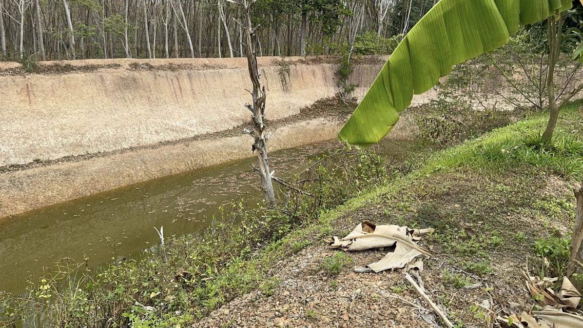 สวนทุเรียนจังหวัดระยอง เนื้อที่ 8 ไร่ 3 งาน 9 ตรว ราคาไร่ละ1,000,000 บาท ต.ชำฆ้อ อ.เขาชะเมา จ.ระยอง เขตติดต่อ อ.แกลง จังหวัดระยอง พื้นที่สวยทำเลดีมาก 3