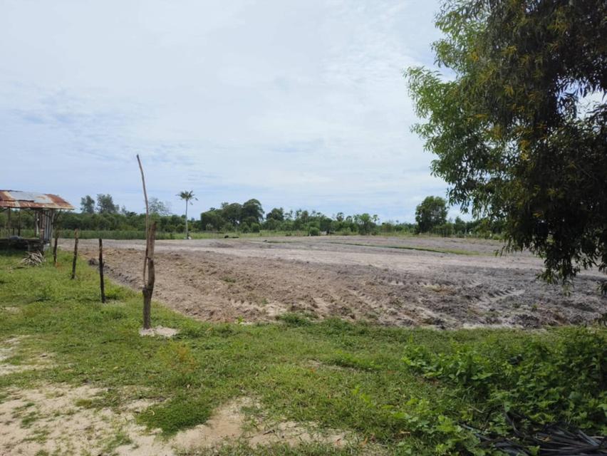 ที่ดิน 12 ไร่ 3 งาน ใกล้หาดบ่ออิฐ ติดถนนสายหลัก สายรอง 9