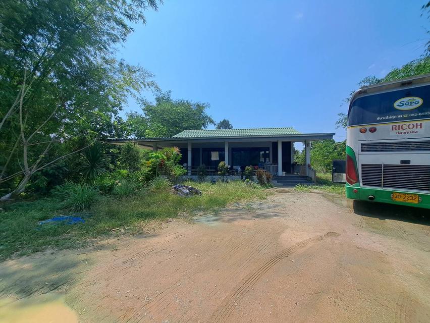 ขายที่ดินระยอง ที่ดินนิคมพัฒนาซอย11สาย15 เนื้อที่ 49-3-77.8 ไร่ ใกล้นิคมWHA36และBYDระยองเพียง 3.5 กม.รูปแปลงสวย 6