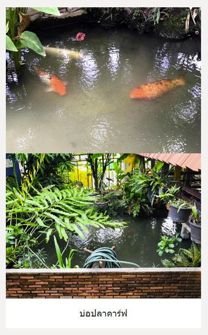 🏠 ขายบ้านเดี่ยว พร้อมห้องสำหรับค้าขาย/เปิดออฟฟิศ ติดถนนเมน 19