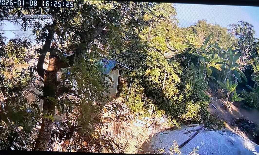 ที่ดินเชียงรายโฉนดพร้อมโอนใกล้สนามบิน 30 นาที 4