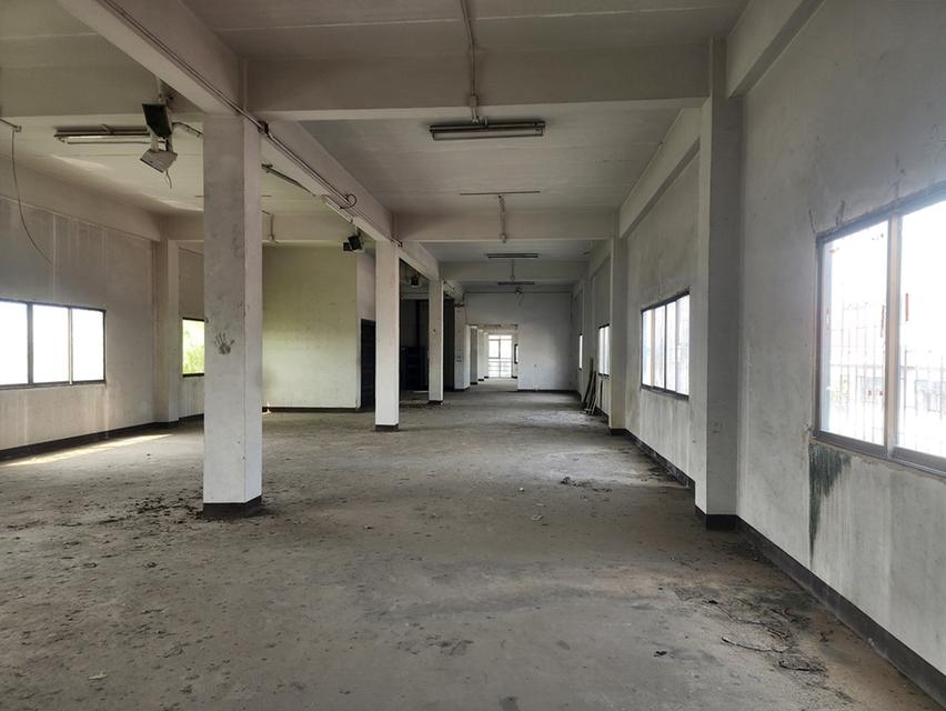 ขาย ที่ดิน พร้อมสิ่งปลูกสร้าง 0-2-60 ไร่ อ.เมืองสมุทรสาคร จ.สมุทรสาคร 10