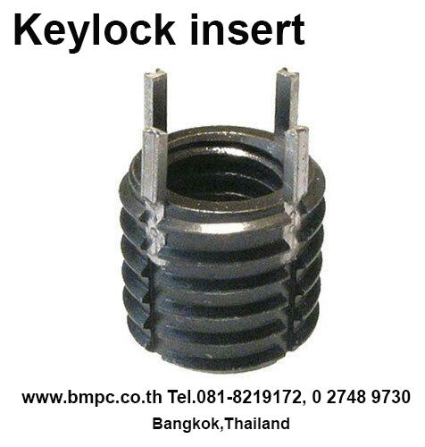 Ball plunger, Socket spring plunger, Index plunger, press fit plunger, Amecoil, thread repair tool, Schnorr, Cup spring รูปที่ 14