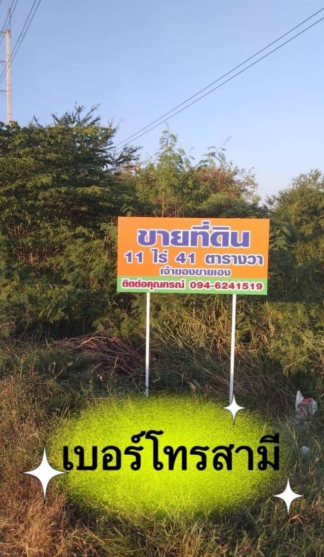 ขายที่ดิน 11 ไร่ 41 ตร.ว. ติดถนน โพธาราม- จังหวัดราชบุรี 4