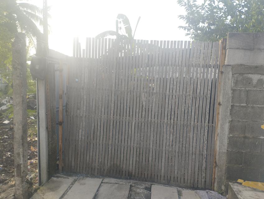 บ้านปลูกเอง 50ตรว. 3