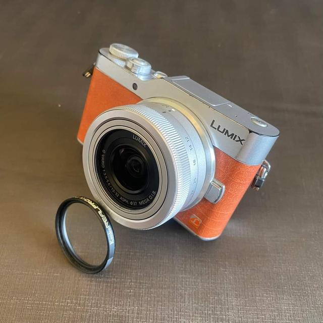 ขายกล้อง Panasonic Lumix GF9