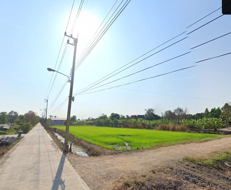 ขายที่ดินคูบางหลวงสีม่วง 2 ไร่ ติดถนน3ด้านราคาถูก ใกล้ถ.ปทุมธานี-บางเลน346-1กม. อ.ลาดหลุมแก้ว ปทุมธานี