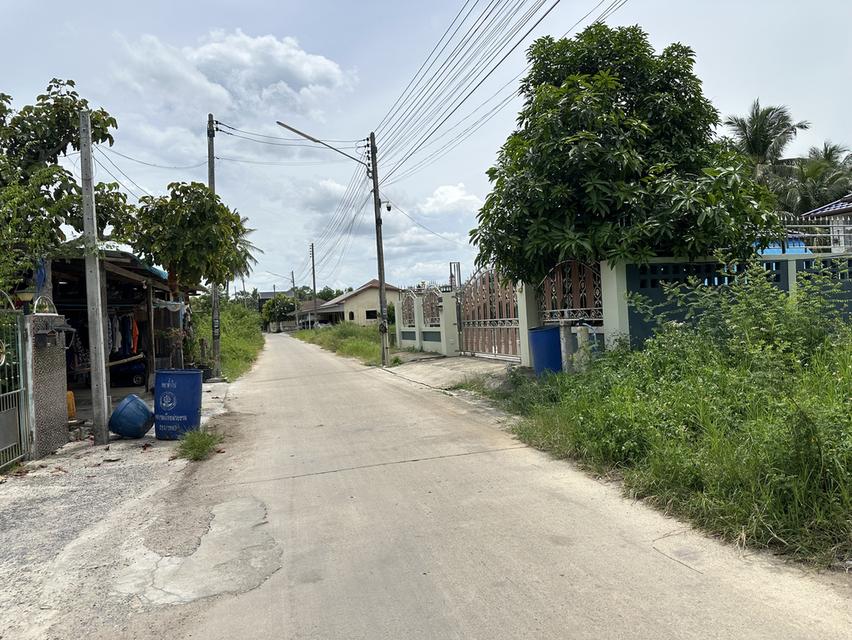 ขายที่ดินม่วงงาม จังหวัดสงขลา 10