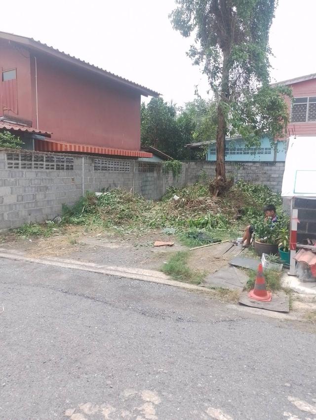 ขายที่ดิน เนื้อที่ 20.3 ตรว อยู่ในโครงการการเคหะฉลองกรุง โครงการ 5 หนองจอก 3