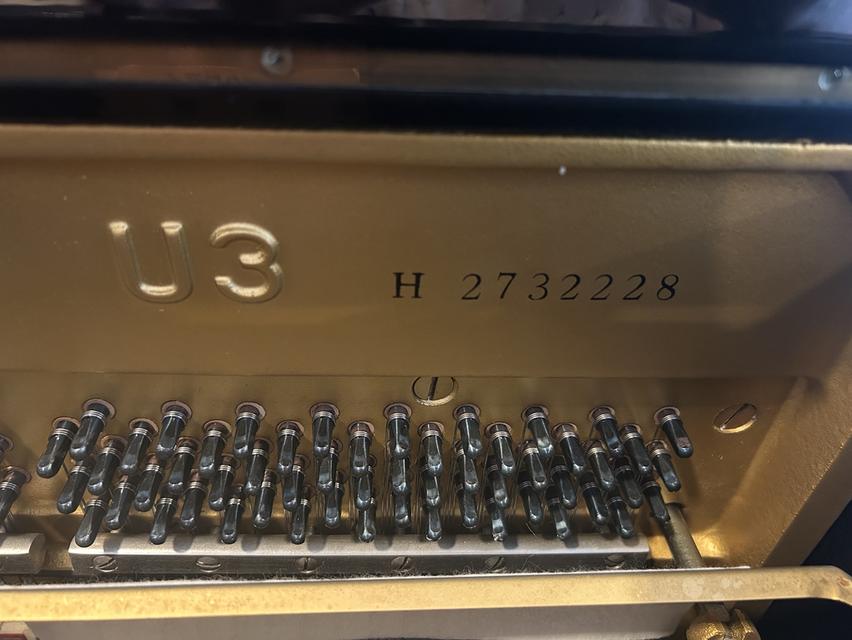 เปียโน Yamaha U3 กว้าง 153 cm สูง 130 cm หนา 65 cm รูปที่ 5