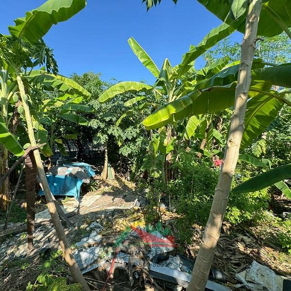 ขายที่ดินหนองแขม106ตรว. ซ.เพชรเกษม79 แยก19 ถมแล้ว ต่อรองได้ 2