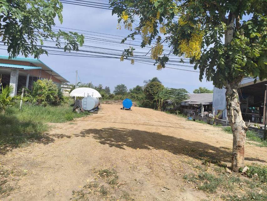 ✨ ขายที่ดินติดถนน 340 – ทำเลทอง อ.สามชุก จ.สุพรรณบุรี ✨ 1