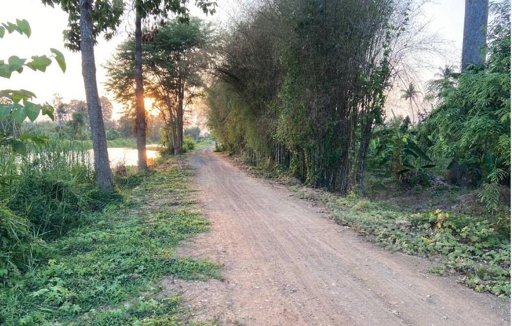 ที่ดิน บ้านพร้อมที่ดิน อ.บ้านลาด จ.เพชรบุรี 3