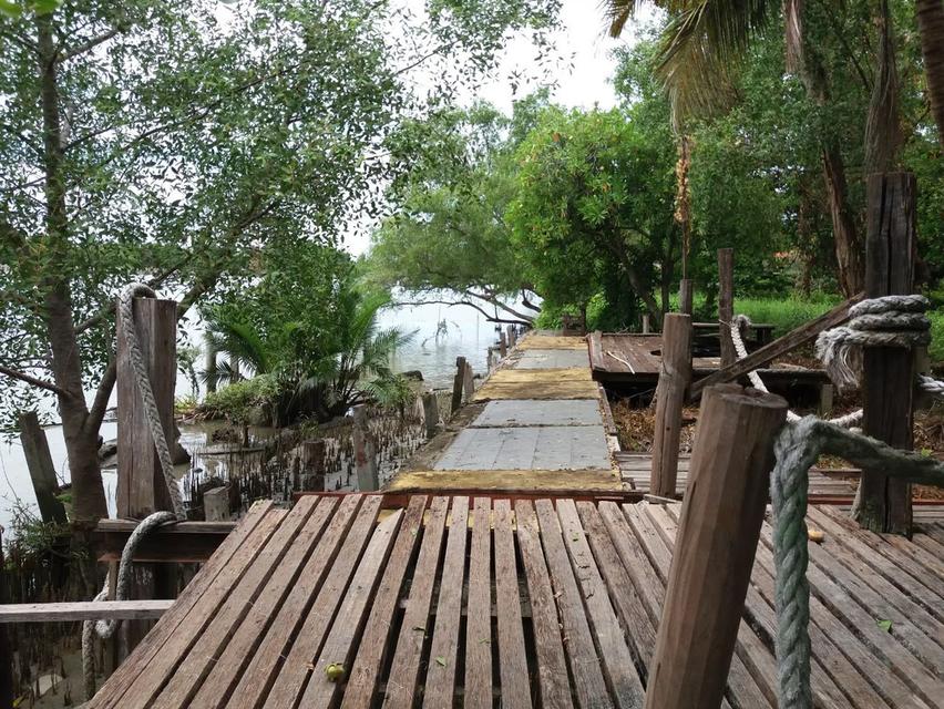 ที่ดินสวยติดแม่น้ำแม่กลอง 18