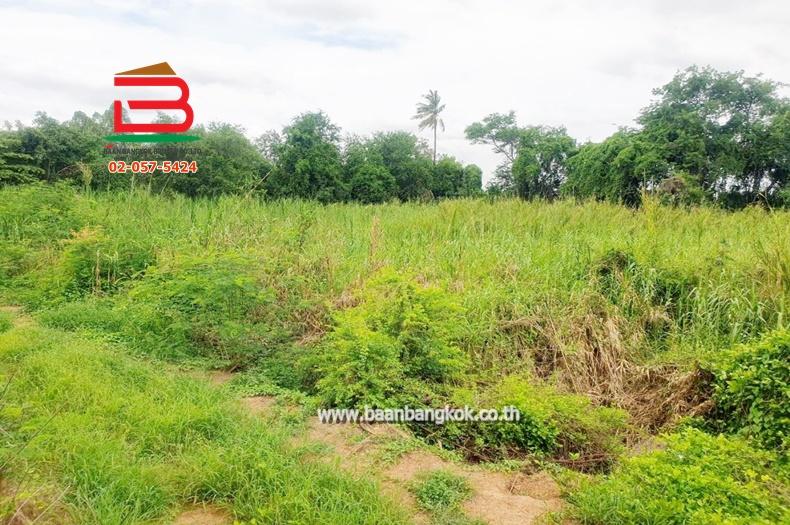 ที่ดินเปล่า ระแหง-ลาดหลุมแก้ว เนื้อที่ 3 ไร่ ติดบจก.ชาญนครวิศวกรรม, ตรงข้ามปั้ม ปตท. ม.12 ถนนกาญจนาภิเษก ตำบลระแหง อำเภอลาดหลุมแก้ว จังหวัดปทุมธานี