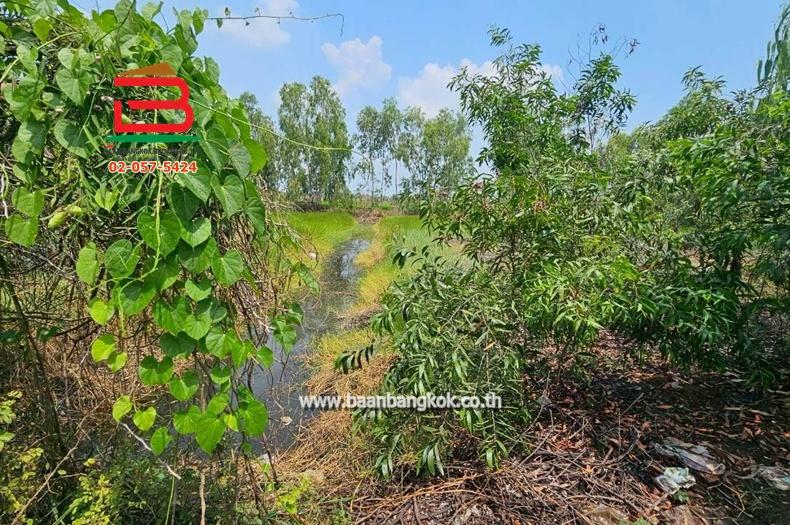 ที่ดินเปล่า หมู่บ้าน อริสรา ลาดบัวหลวง เนื้อที่ 1-0-35 ไร่ ถนนบางบัวทอง-สุพรรณบุรี อ.ลาดบัวหลวง จ.อยุธยา 4