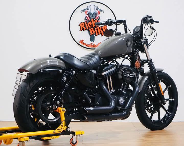 Harley Davidson Iron 2019 3