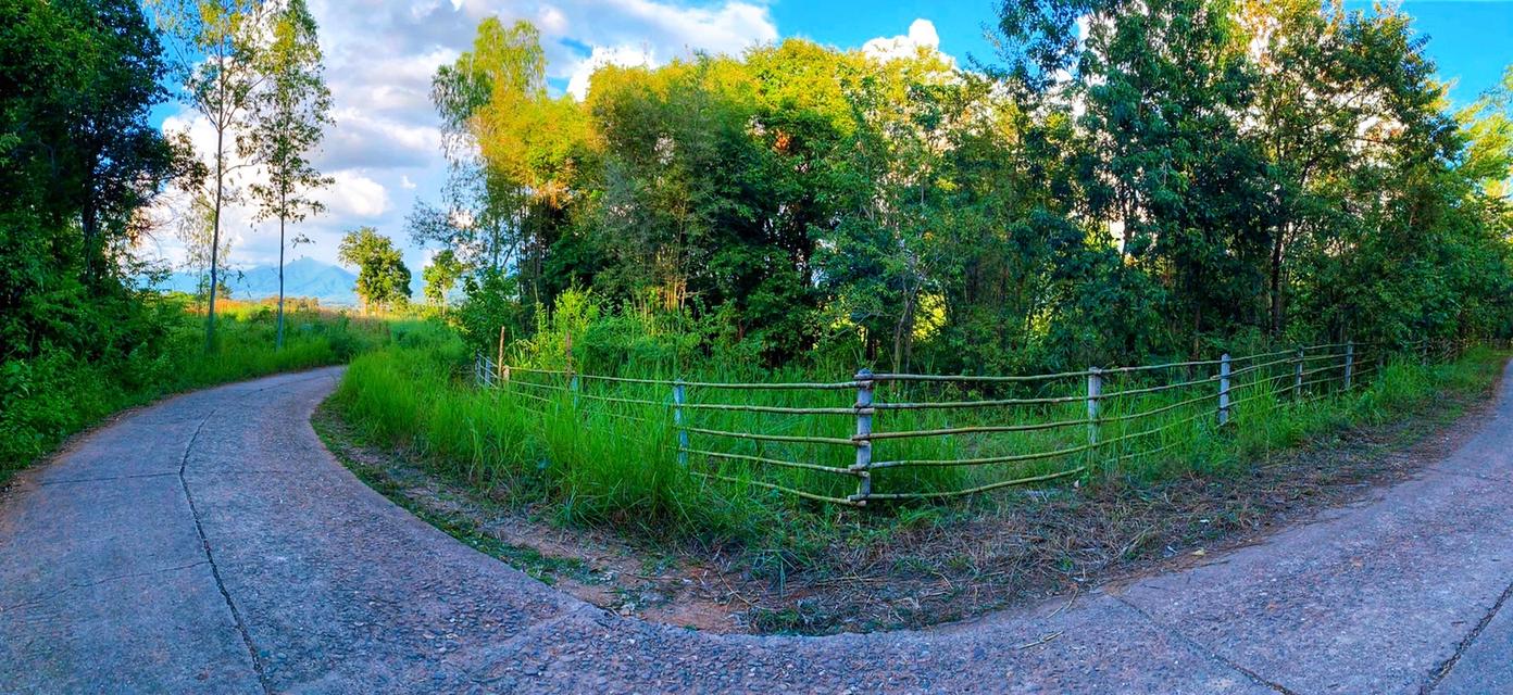 🏡 ขายที่ดินน่าน อ.ปัว วิวดอยภูคา | แปลงเดียว | พร้อมสร้าง 6