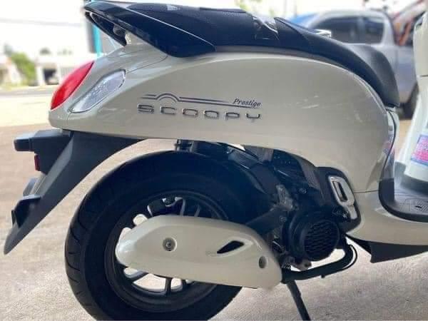 ขาย Honda Scoopy สีขาวใหม่ 3