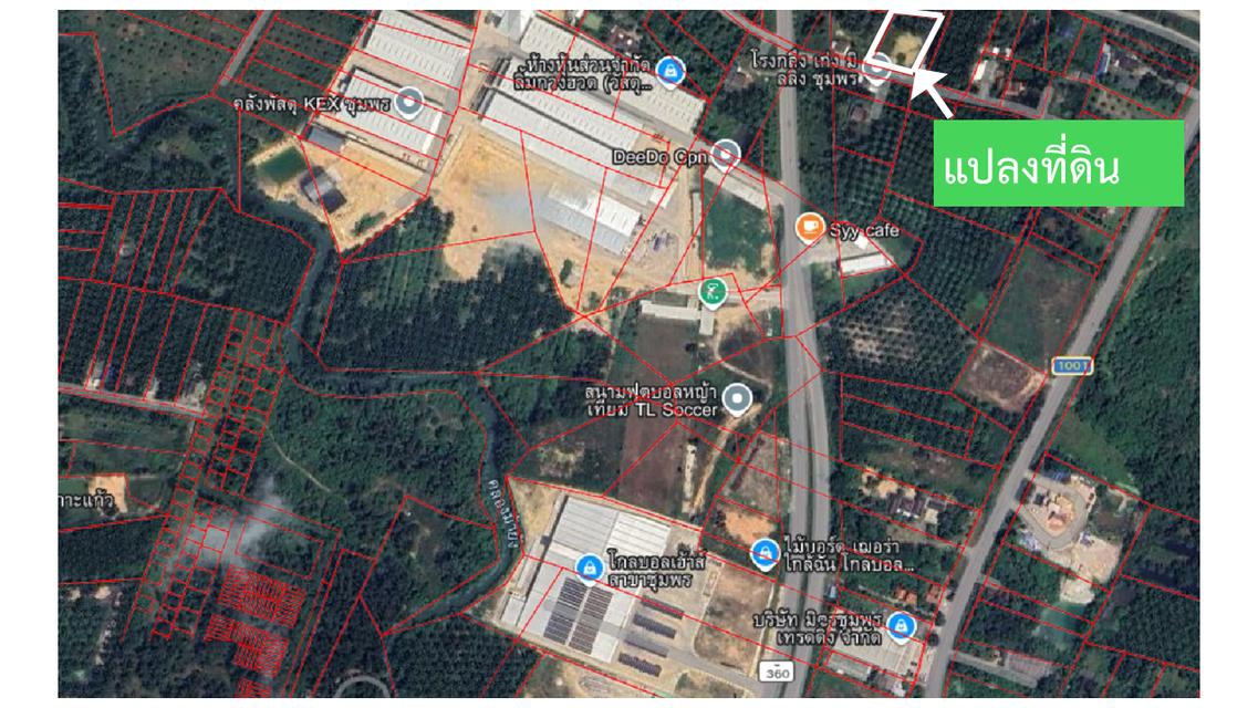 ที่ดินเปล่า ใกล้เมืองชุมพร 3