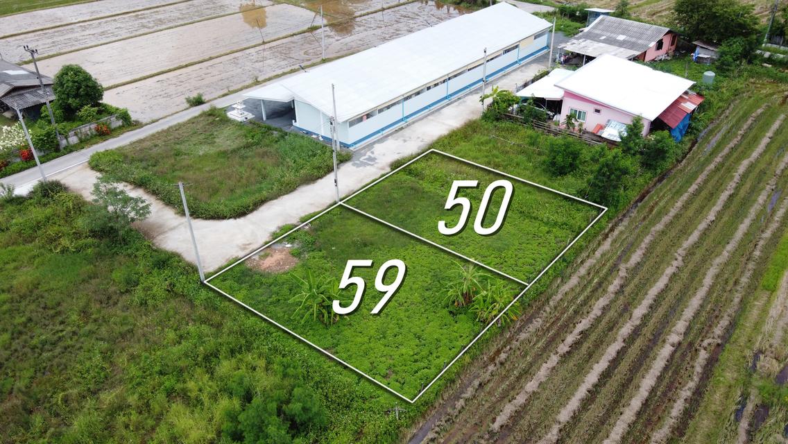 ที่ดินแบ่งขาย 50 และ 59 ตร.ว. เริ่มต้น 300,000 บาท น้ำไฟถนนคอนกรีตพร้อม 4