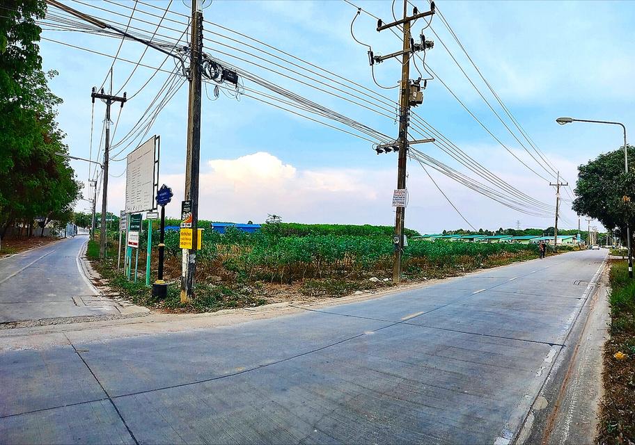 ที่ดินแปลงสวย ทำเลดี ใกล้ชุมชน แหล่งเศรษฐกิจและอุตสาหกรรม มาบตาพุด จ.ระยอง 5